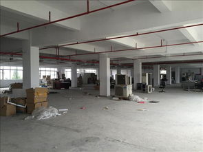 宁阳县钢结构厂房结构安全性检测鉴定机构提供专业服务，保障建筑安全